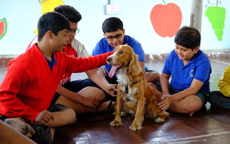 Zep Rehabilitation Centre